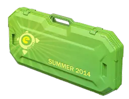 case preview