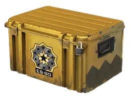 case preview